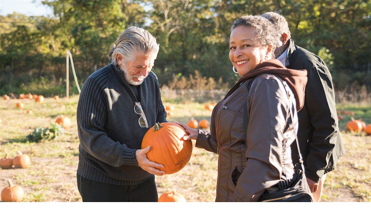 Free for Seniors: Pumpkin Patch