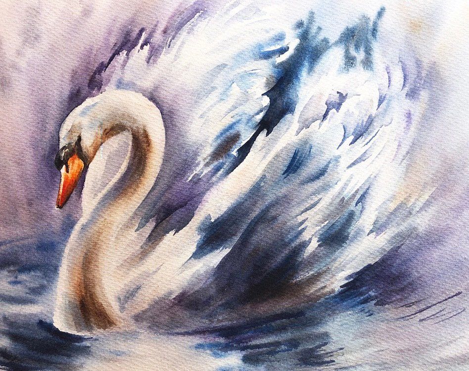 Watercolour Painting - Sensational Swan