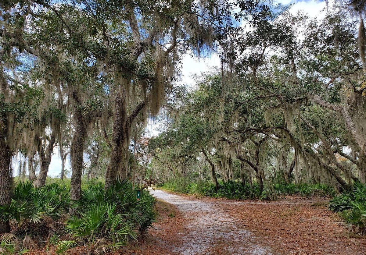 Split Oak Forest BioBlitz 2022 Hike