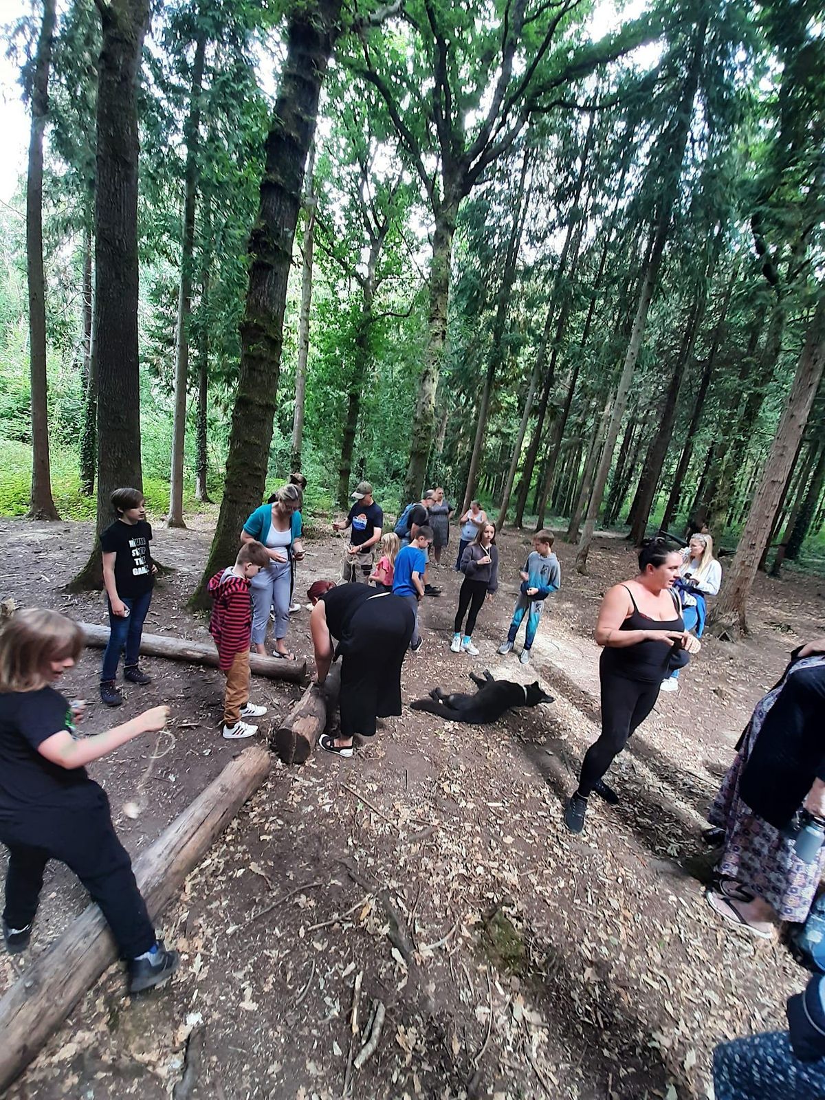 Autism Friendly Bushcraft Age 5 16 Parkhurst Forest Newport autism-friendly-bushcraft-age-5-16-parkhurst-forest-newport