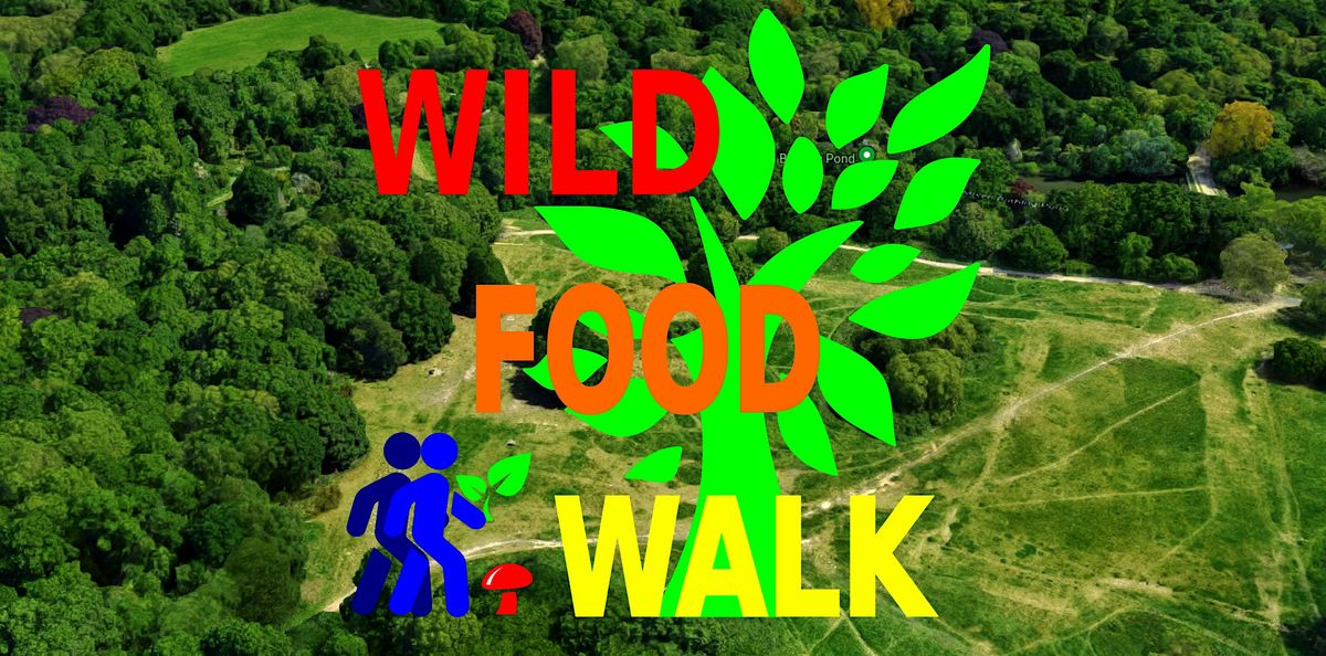 October Hampstead Heath (London) Wild Food Foraging\/ Foragers Walk.