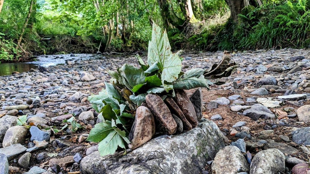 Art in Nature Walk