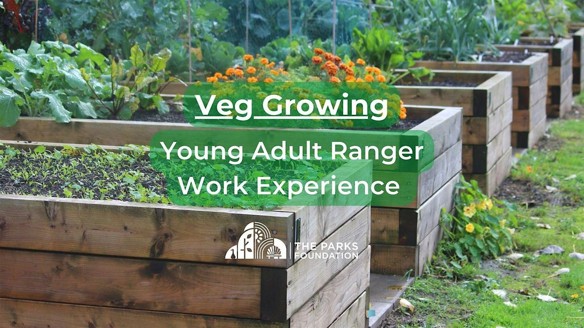 Veg Growing - Young Adult Ranger Work Experience at Pelhams Park