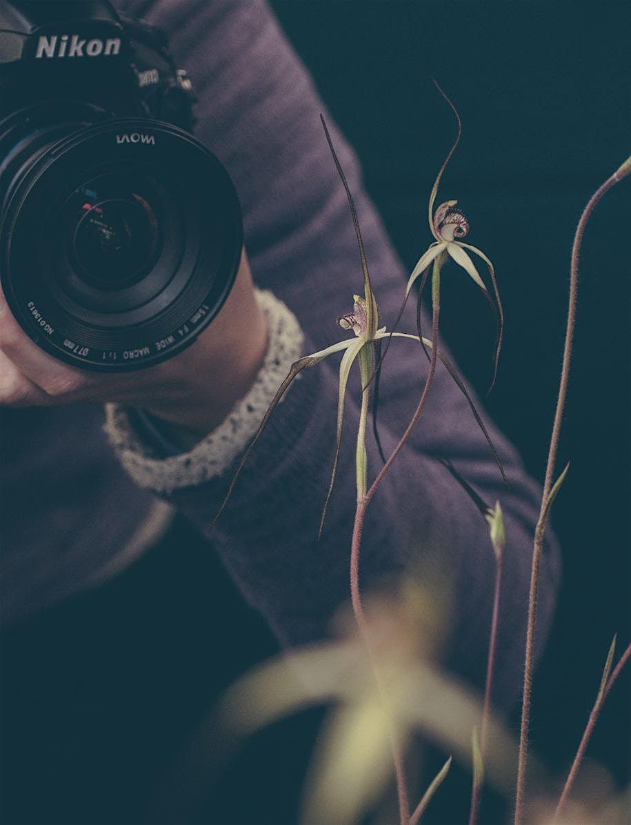 Orchid conservation photography display \u2013 book in and avoid the crowds