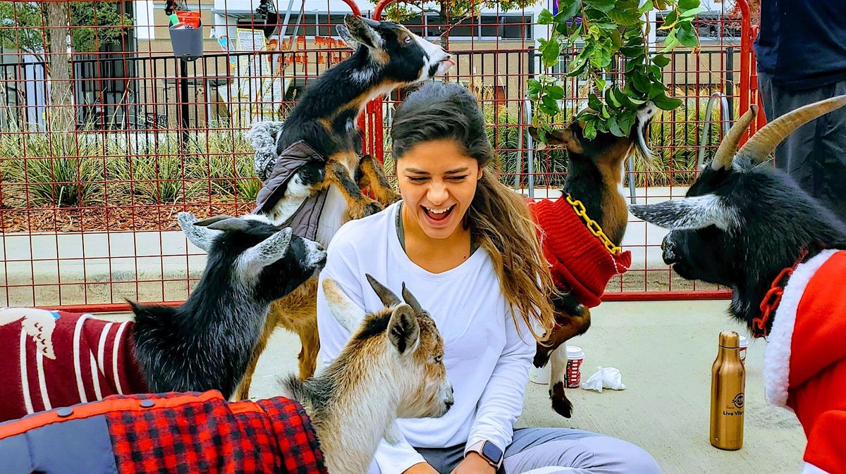 Goat Yoga Addison Circle!