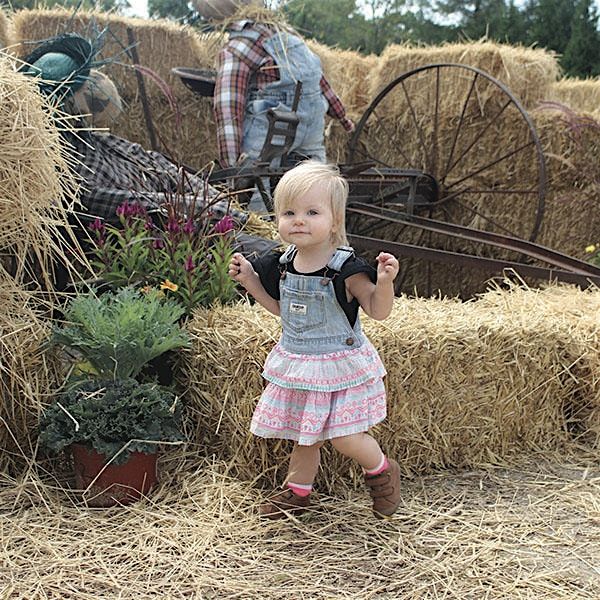 Fall Festival at Hicks Nurseries