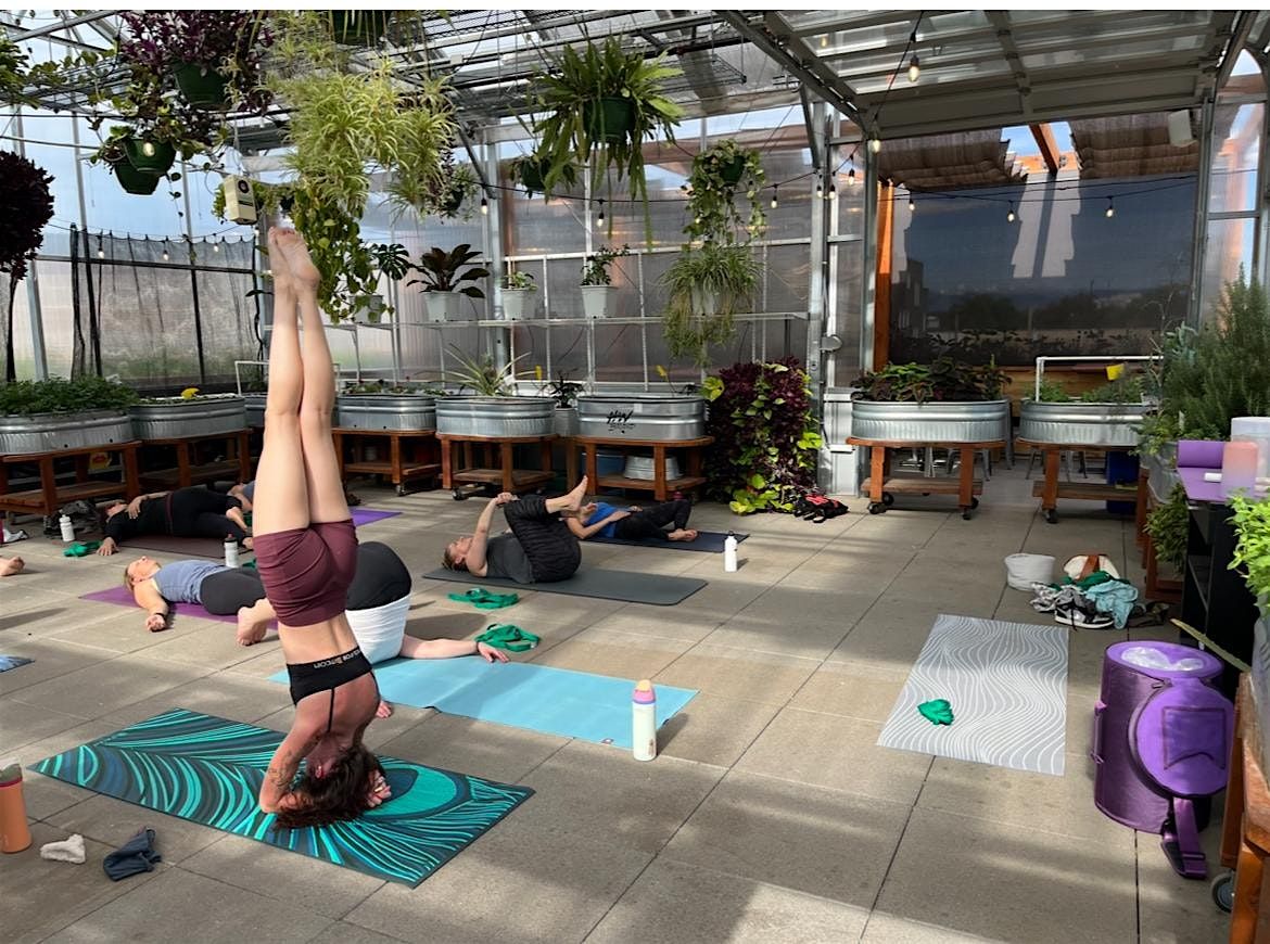 Yoga + Sound Healing Savasana - Friday Mornings at Grow + Gather