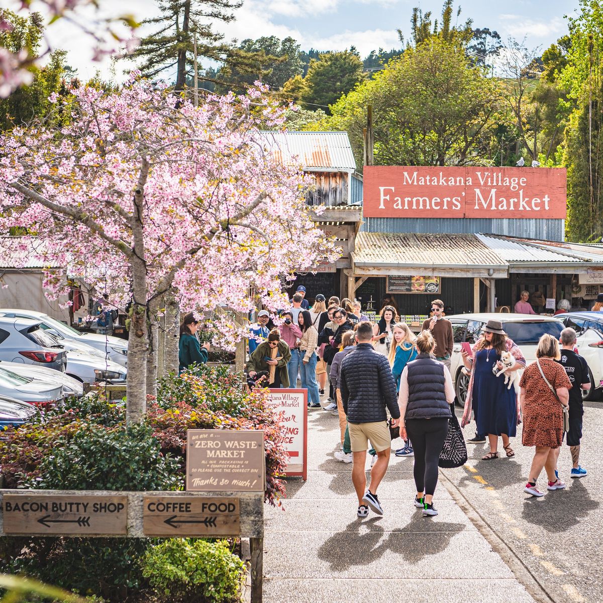 Matakana Village Farmers' Market