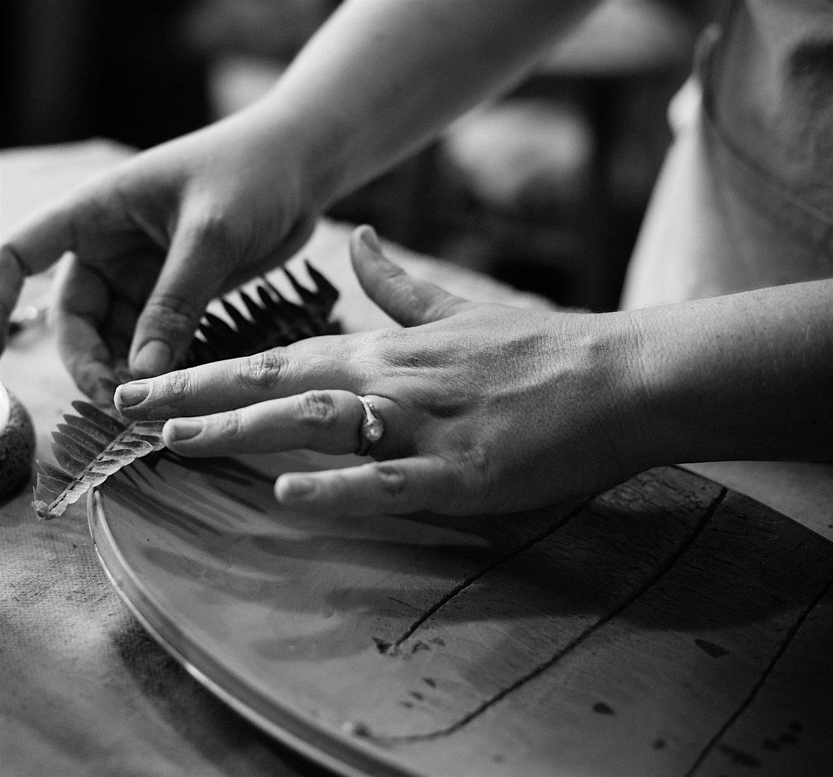 Arts for EveryBody: Healing Plants Recorded in Clay