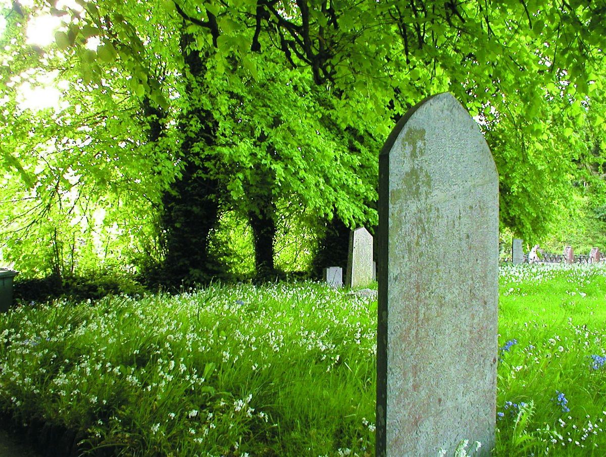Managing churchyards with wildflowers in mind