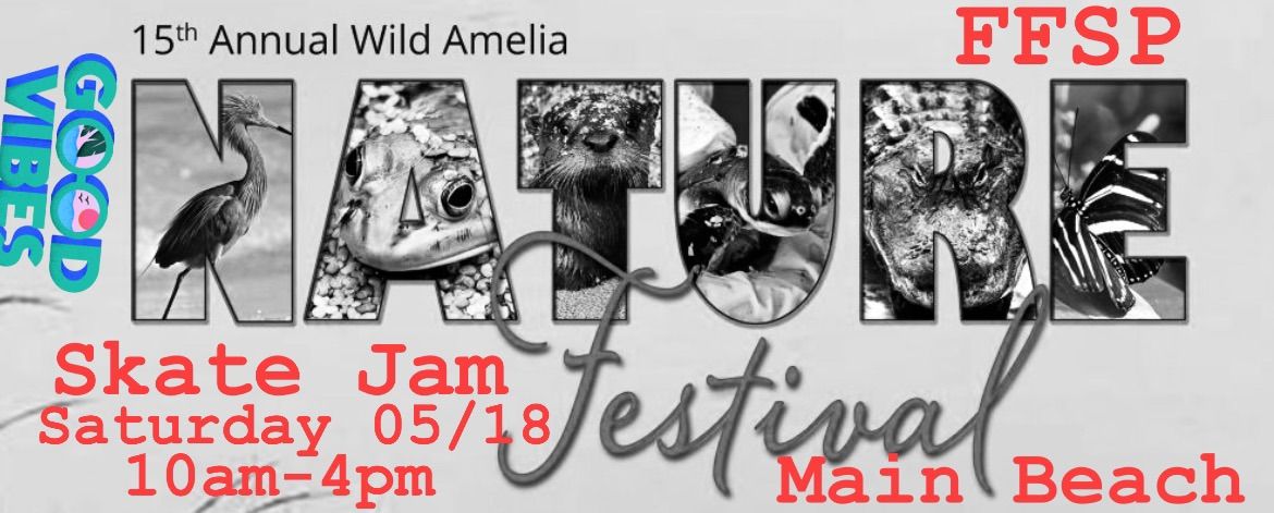 The 15th Annual Wild Amelia Nature Festival Skate Jam