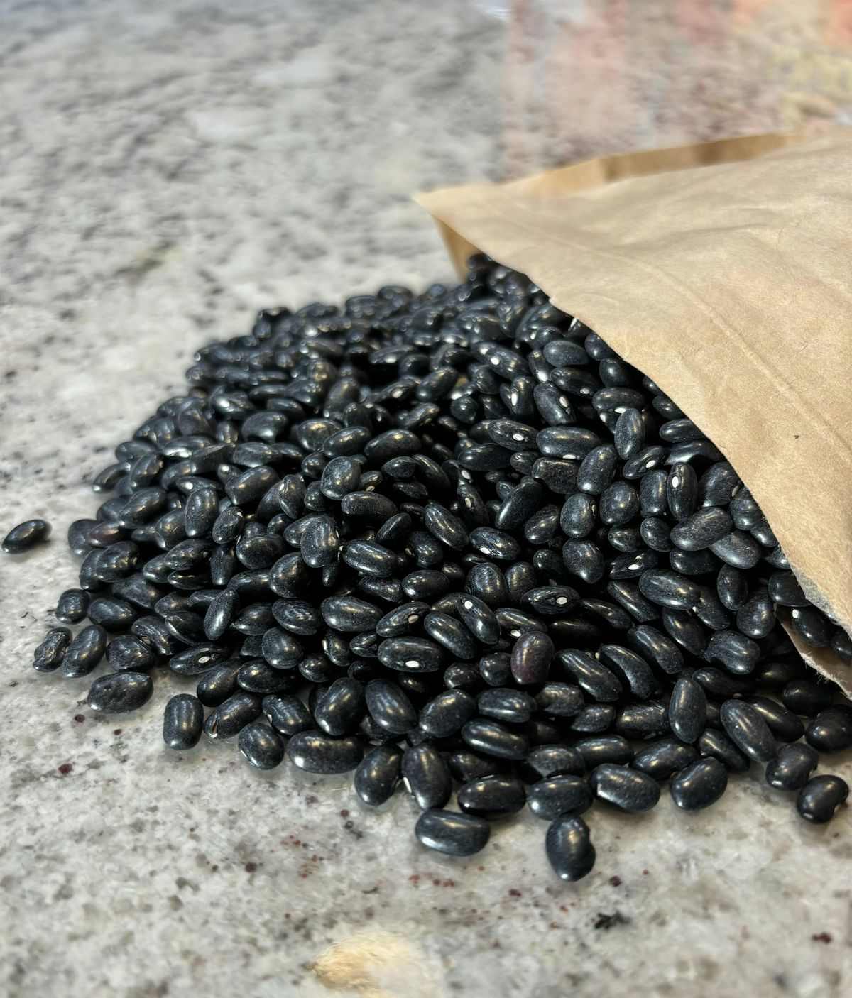 A thousand shades of Black Beans