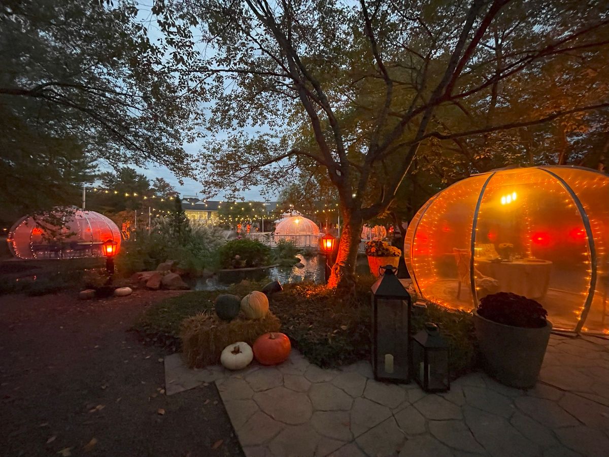 Autumn Lights Dining Igloos at Cherry Valley Hotel