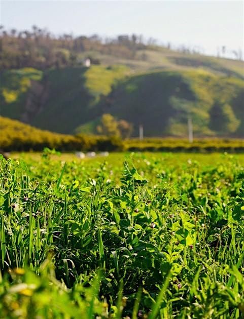 Elevated Foods presents Rancho Santa Clara del Norte Soil Health Workshop