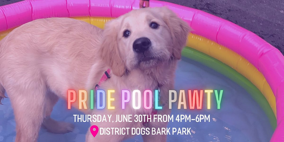 Pride Pool Pawty