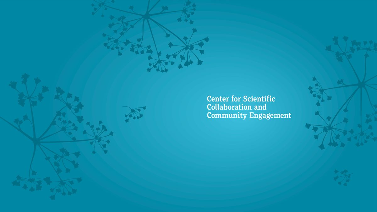 CSCCE MW: Selecting supplementary tools for virtual meetings and events