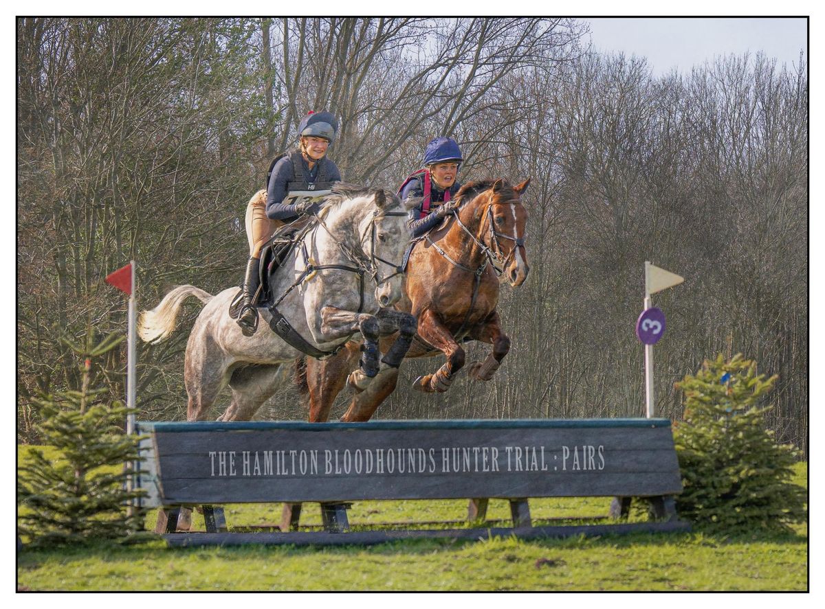 Hamilton Bloodhounds Hunter Trial