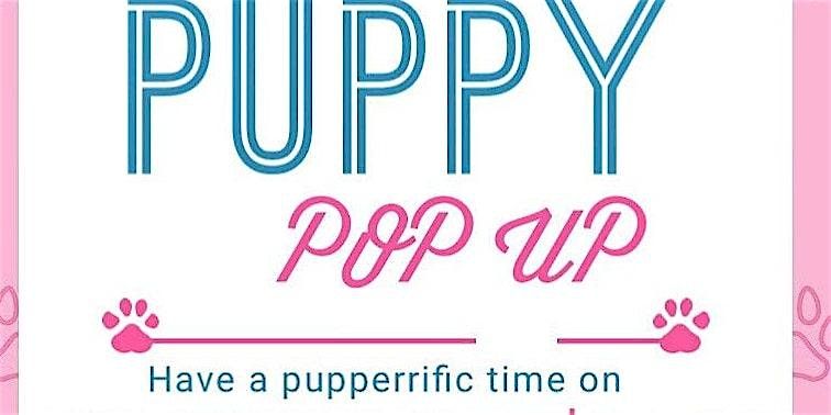Pet Shop Pop Up Event