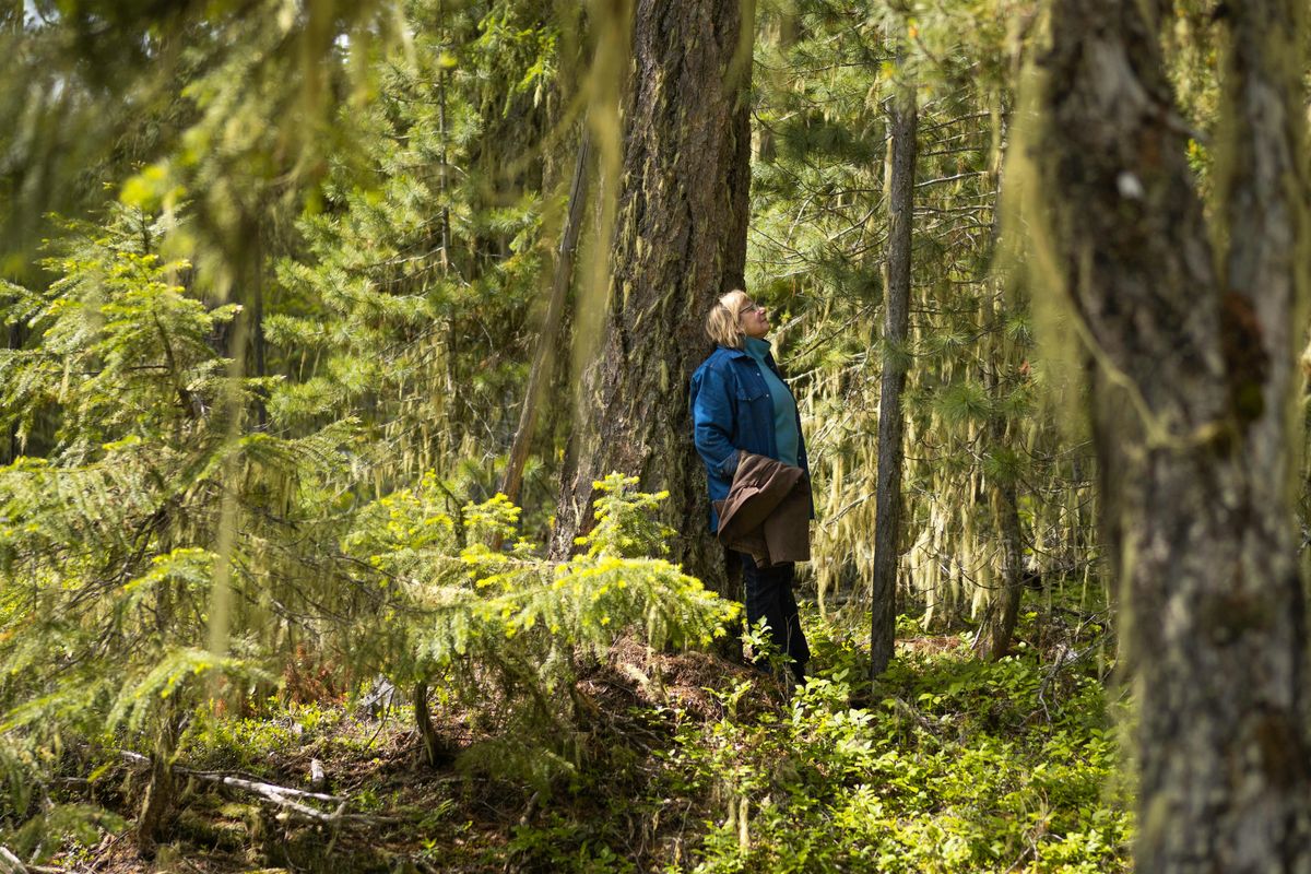 Forest Bathing: Finding Mindfulness in Nature