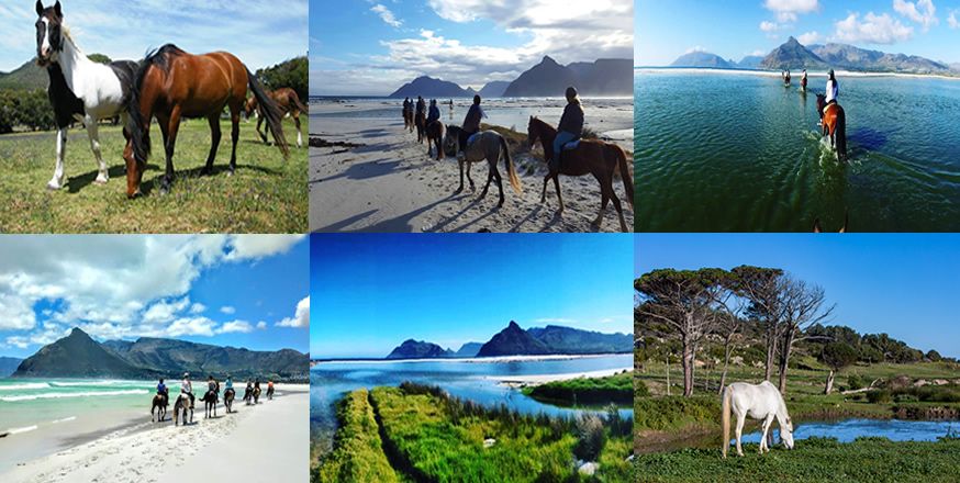 3 Spots left - Noordhoek Beach Imhoff Horse Riding Trail - No Exp Required