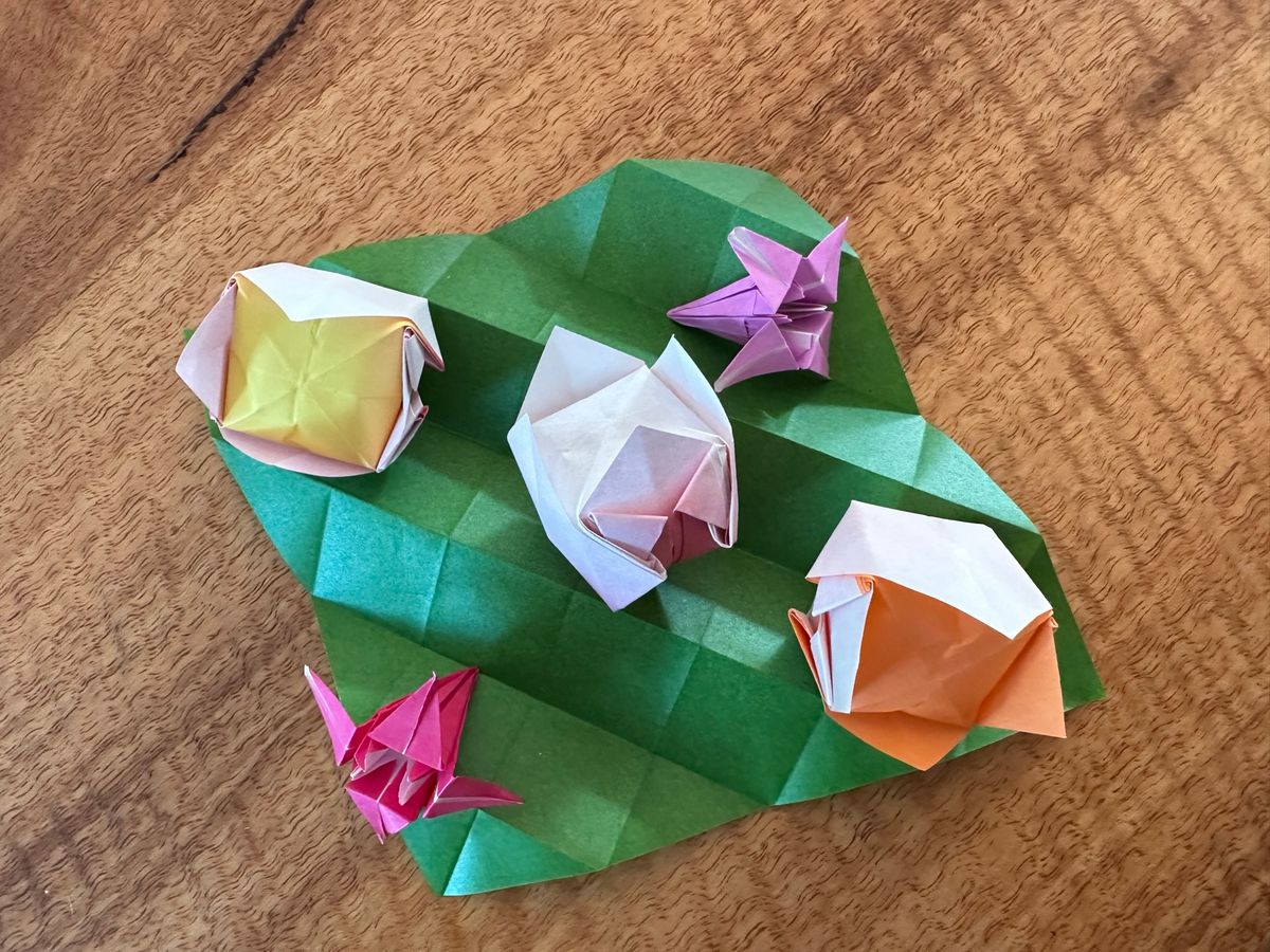 Origami Workshop @ Arrabri Community House