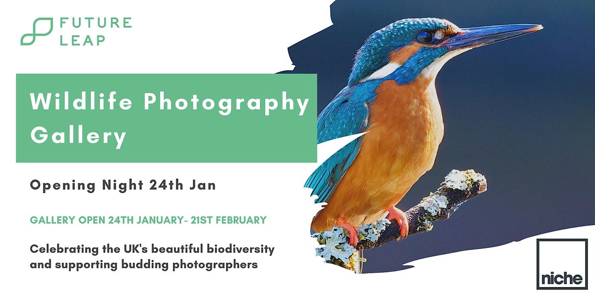 Future Leap's Wildlife Photography Gallery (Opening Night)
