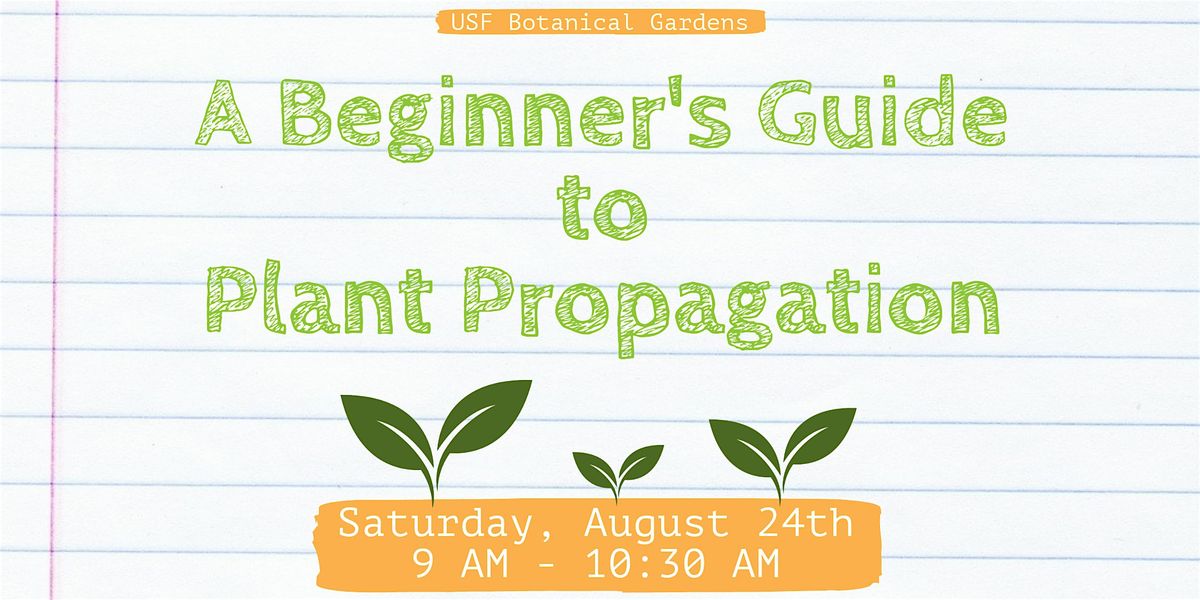 A Beginner's Guide to Propagation