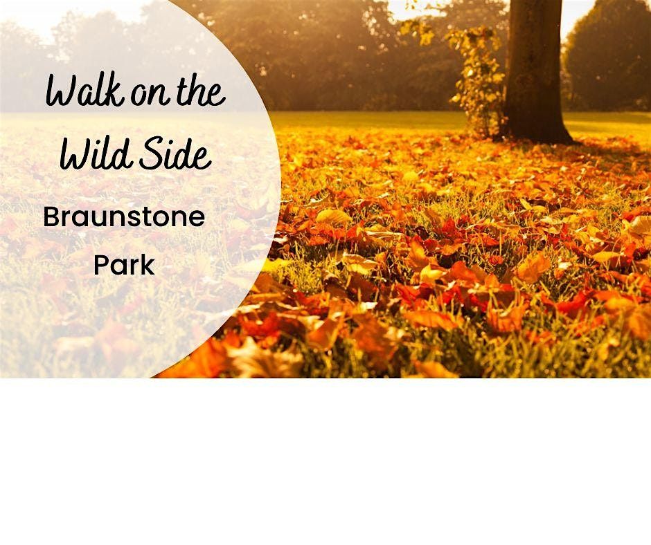 A Walk on the Wild Side - Braunstone Park