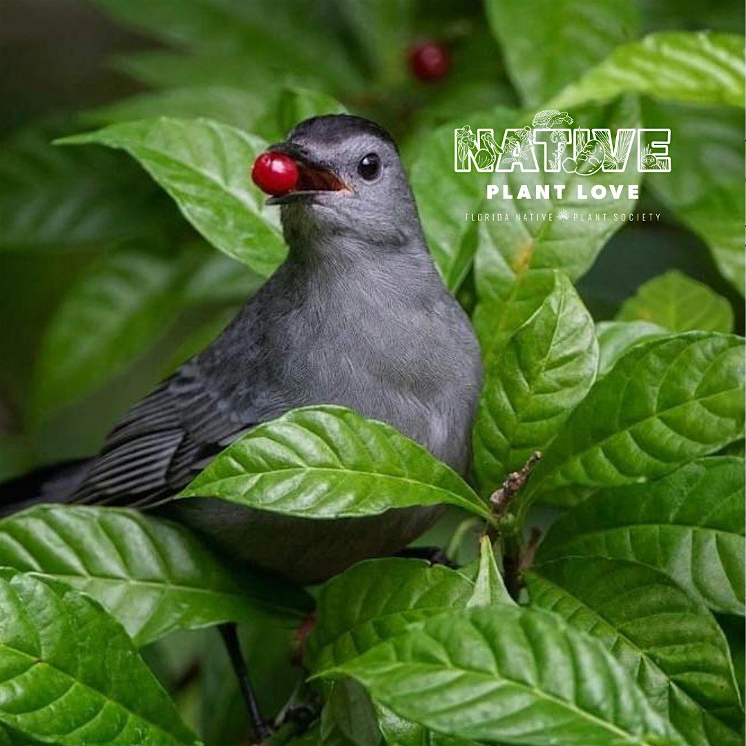 SOUTH FLORIDA NATIVE PLANT EXPO - FL NATIVE PLANT SOCIETY PALM BEACH COUNTY