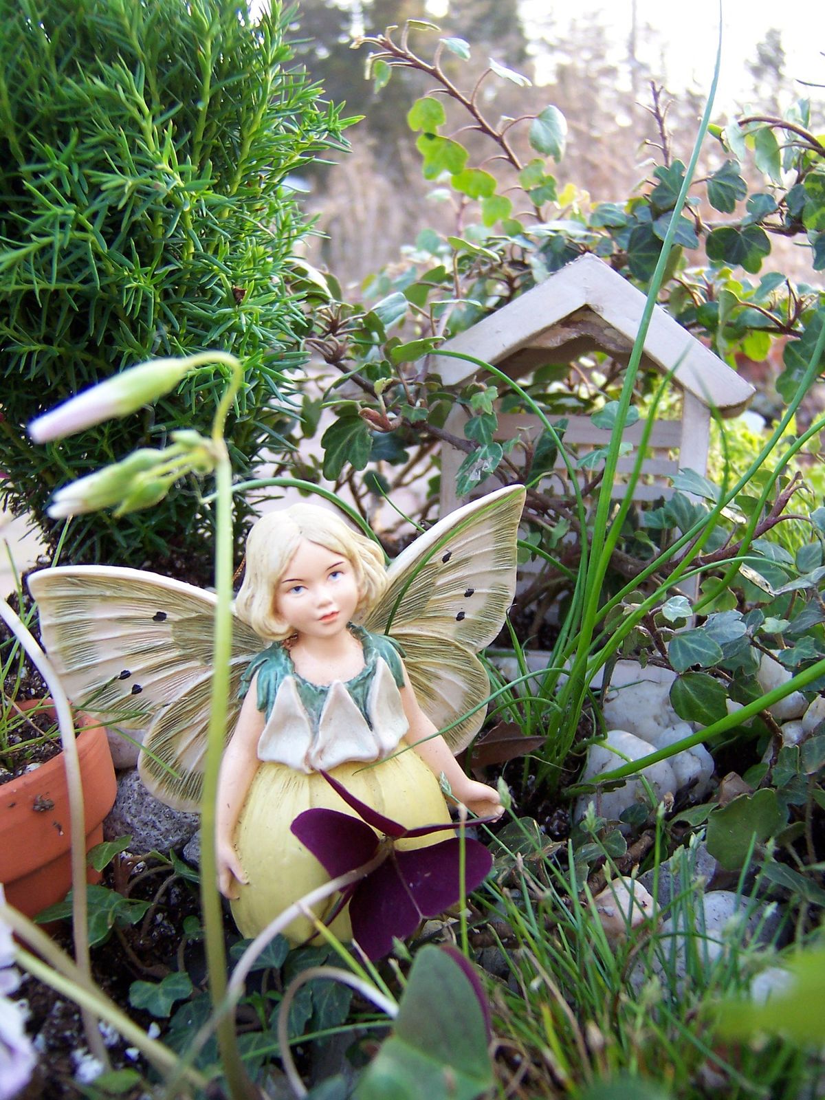 Fairy Garden Fun! 