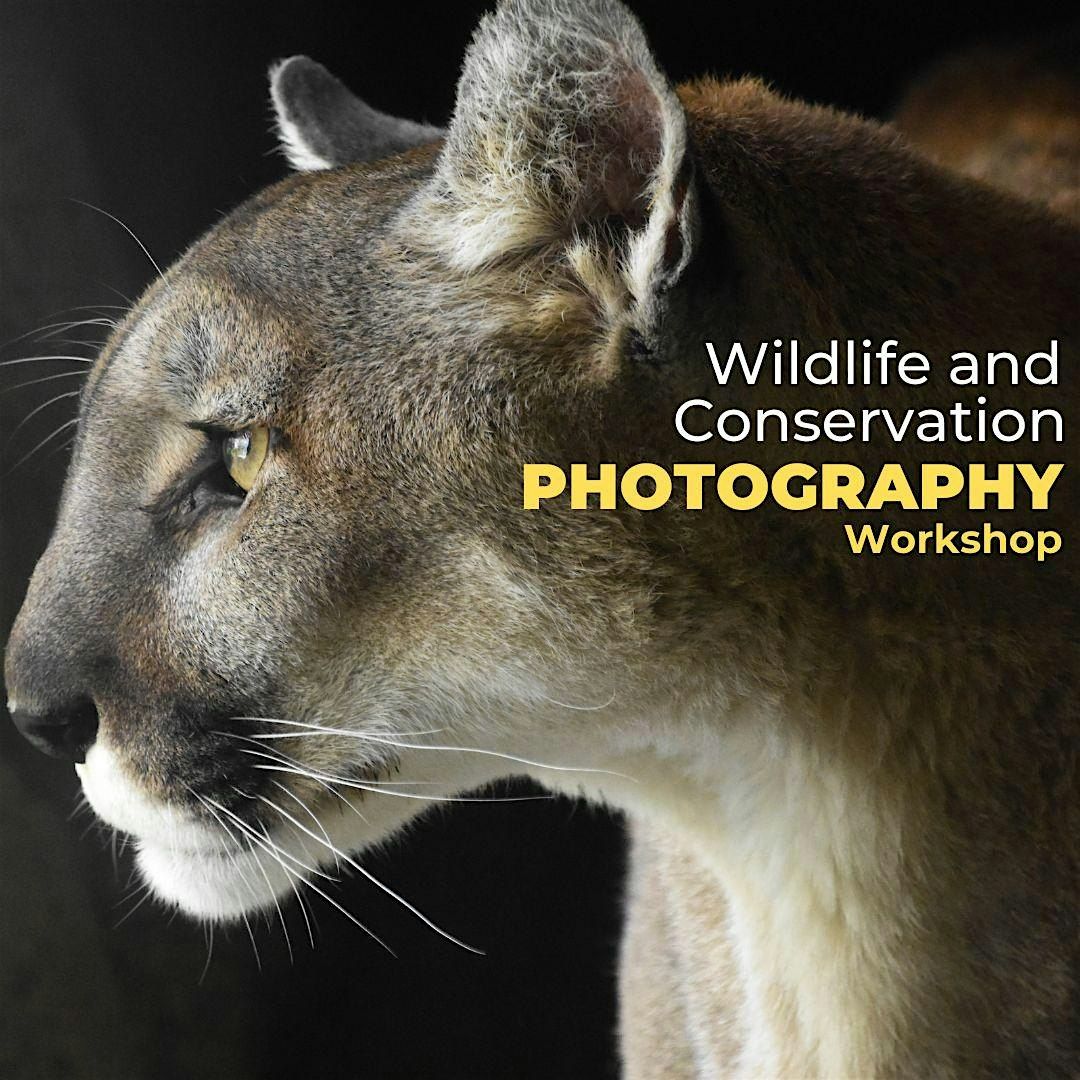 Wildlife and Conservation Photography Workshop