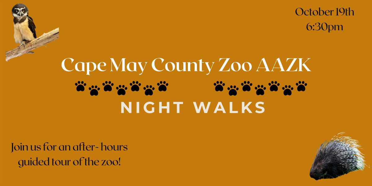 Night Walk at the Zoo 2024