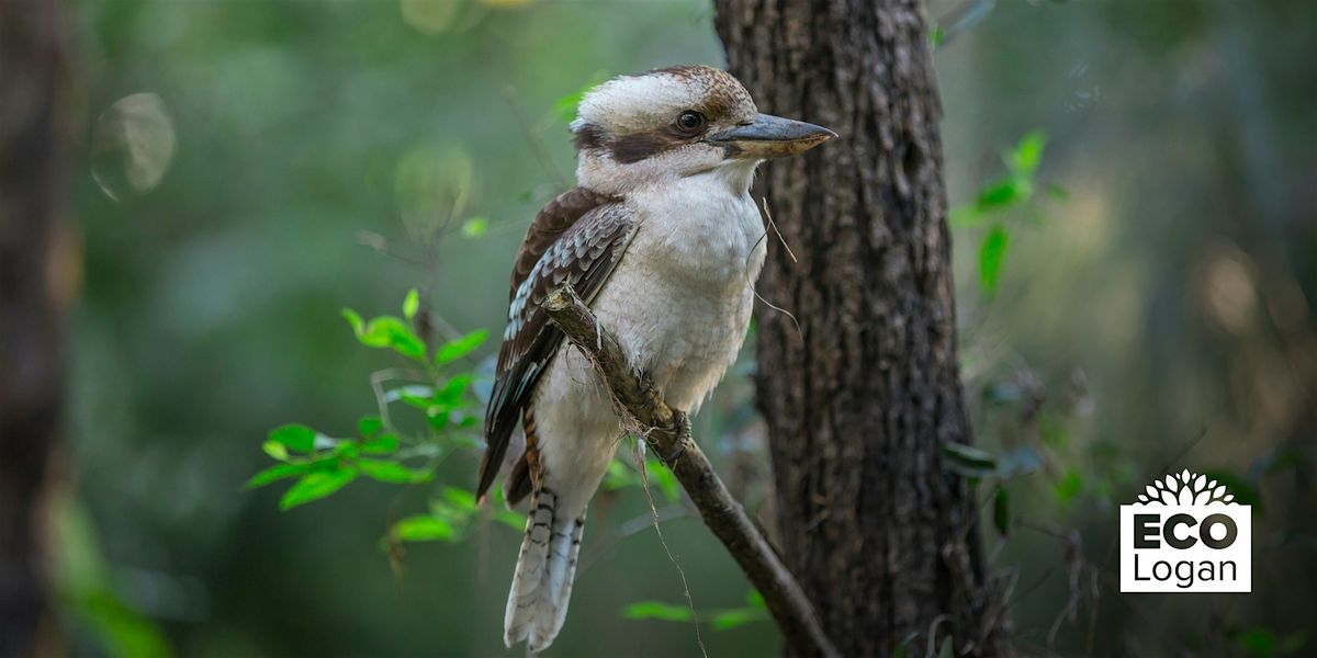 Wildlife Friendly Backyards