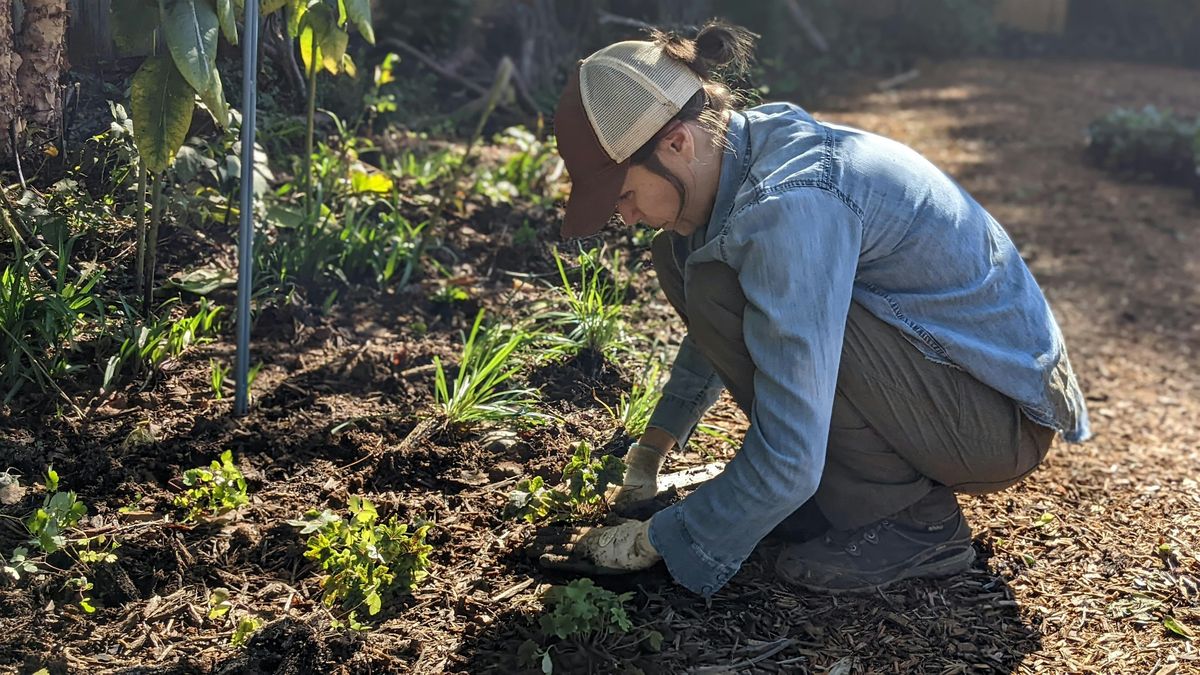 Habitat Advocate: Native Garden Design\/Build\/Steward Workshop