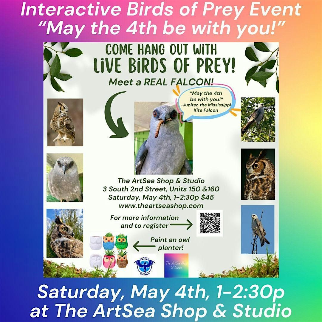 Interactive Birds of Prey Event - May the 4th be with you!