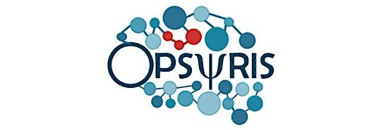 OPSYRIS 2025