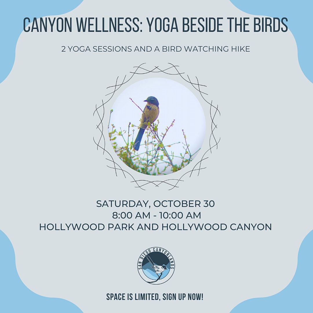 Canyon Wellness: Yoga Beside the Birds