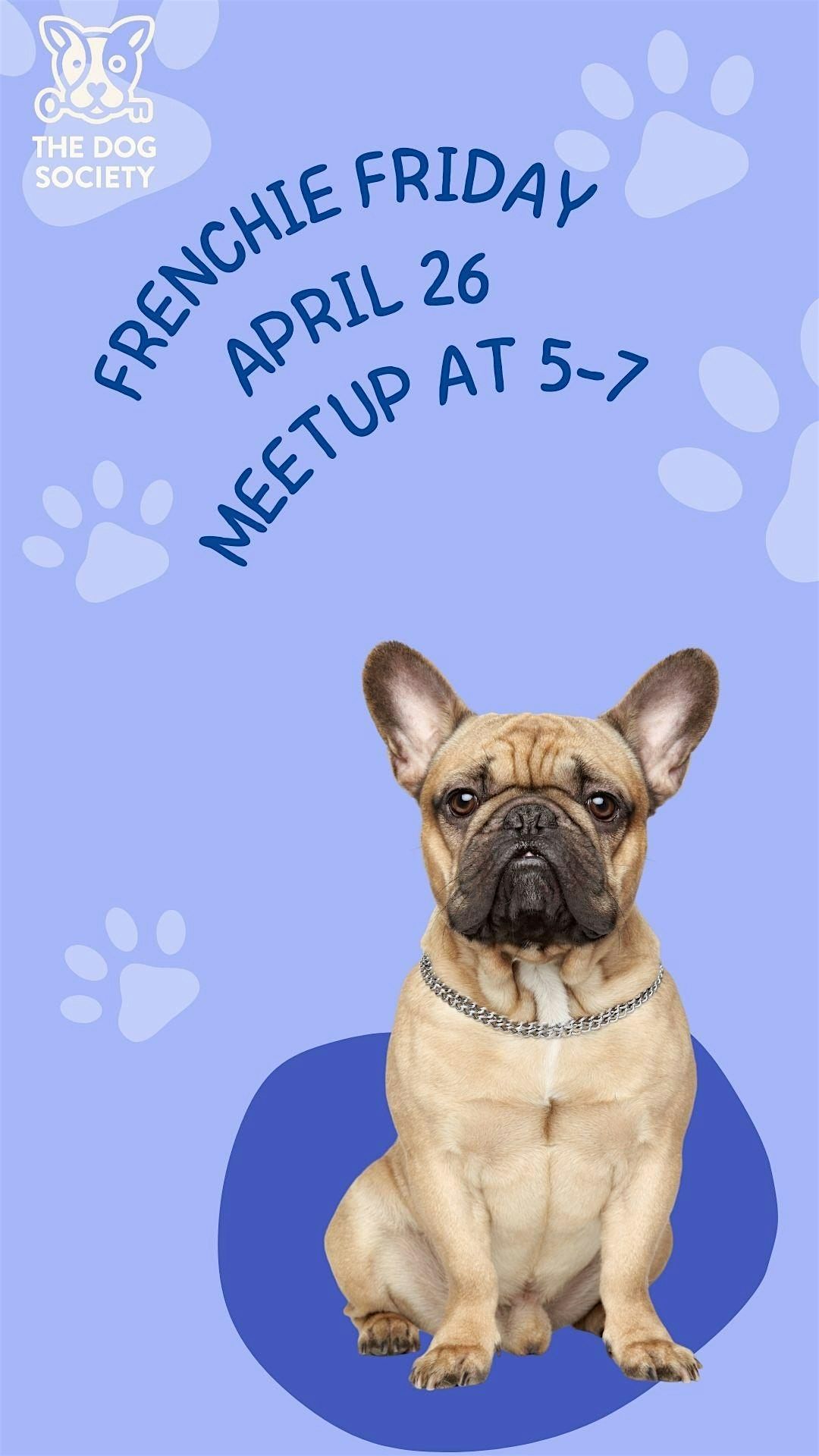 Frenchie Friday - French Bulldog Meetup at The Dog Society