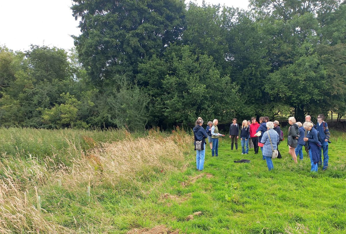 An Upper Thames Guided Walk at Shotover Country Park, led by Ivan Wright