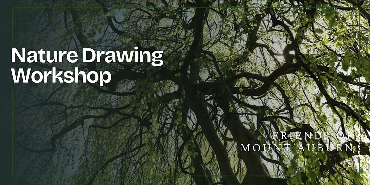 Nature Drawing Workshop: Landscapes