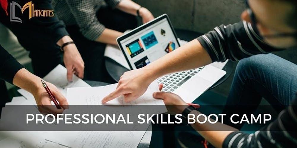 Professional Skills 3 Days Bootcamp in Singapore