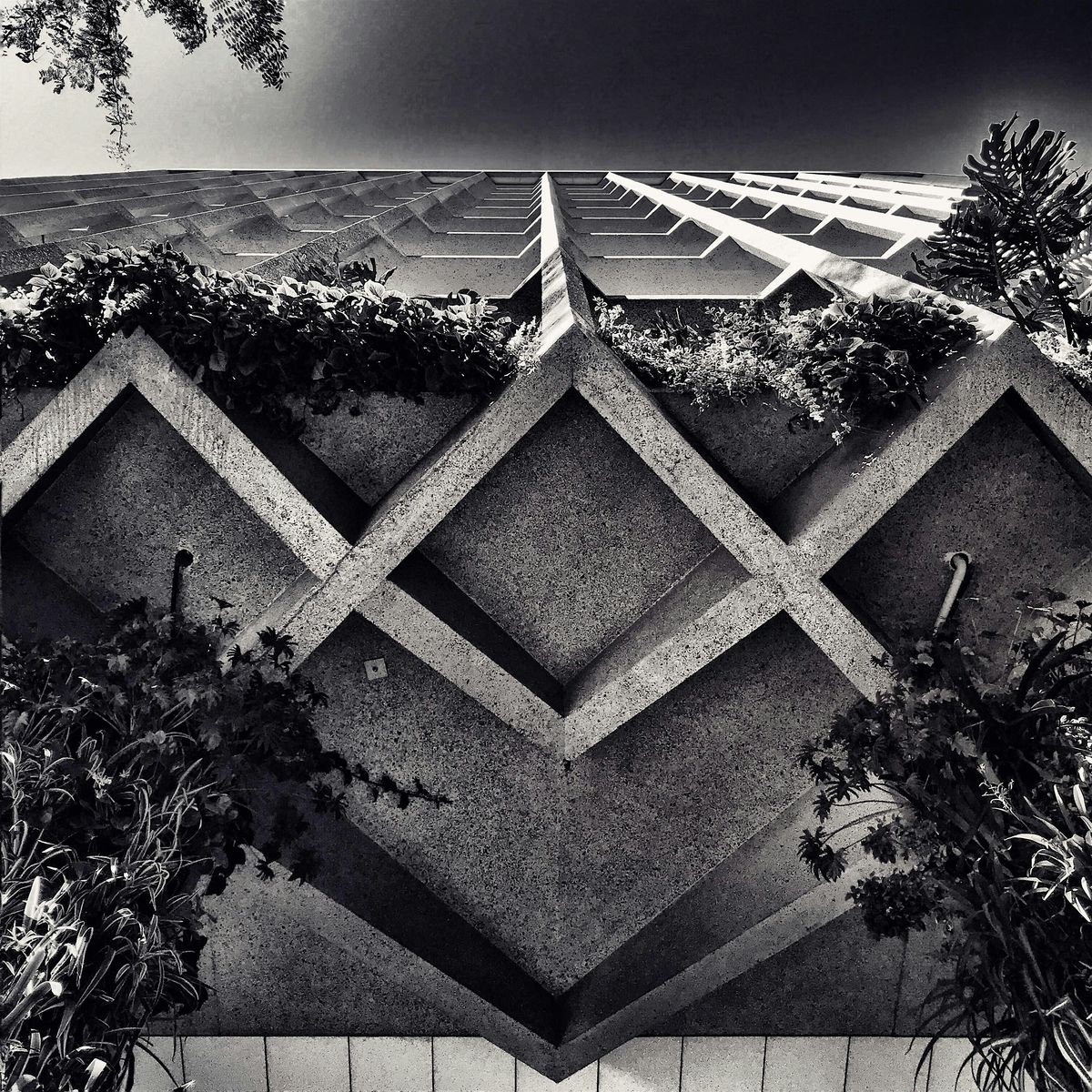 Brutalist Adelaide Walking Tour | 10 Nov 10am