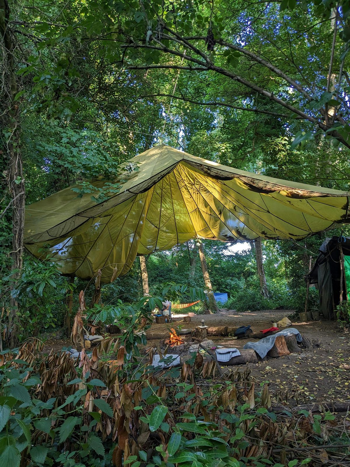 Autumn Equinox Women's Circle: Writing in the Woods