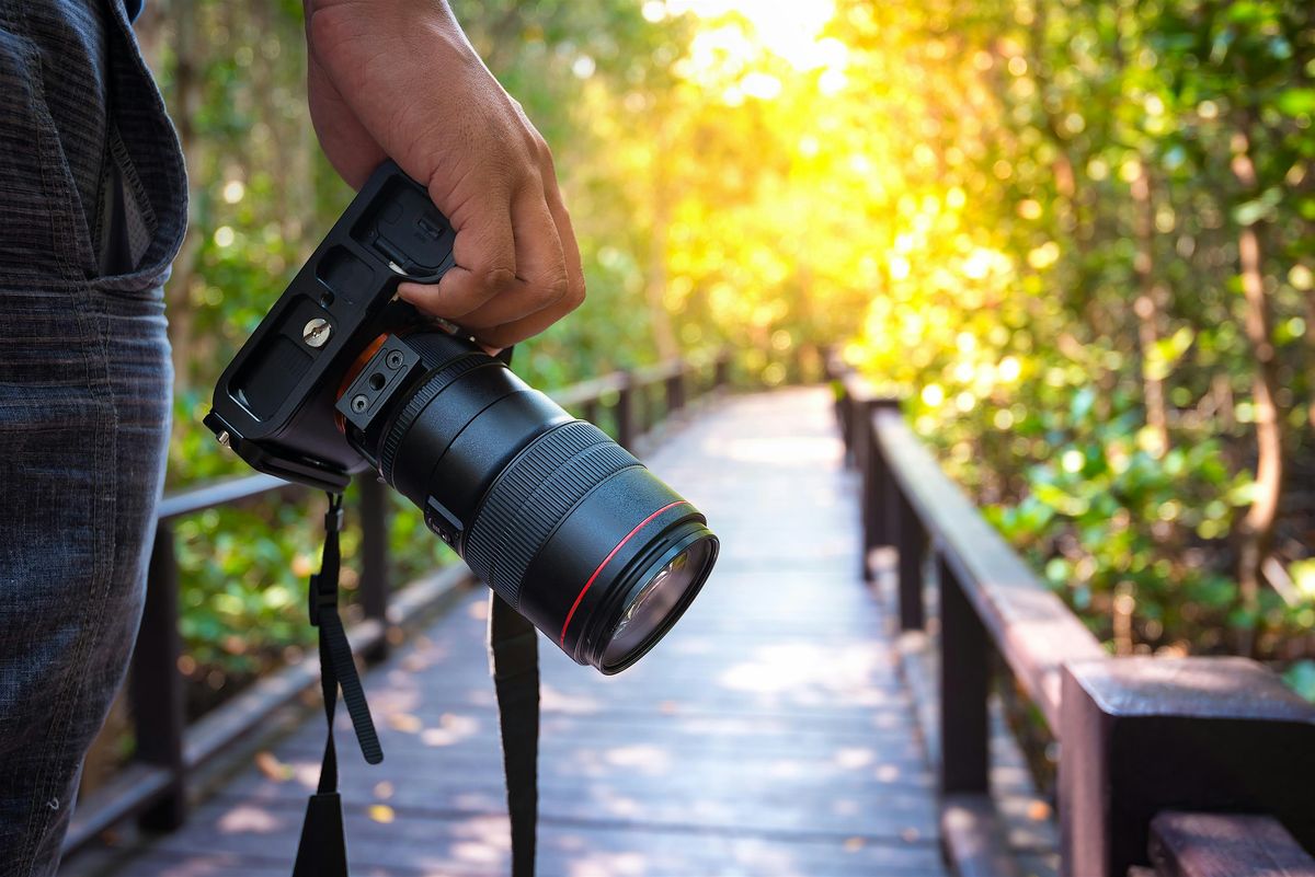 Henry's Kanata Photo Walk - Jack Pine Trail