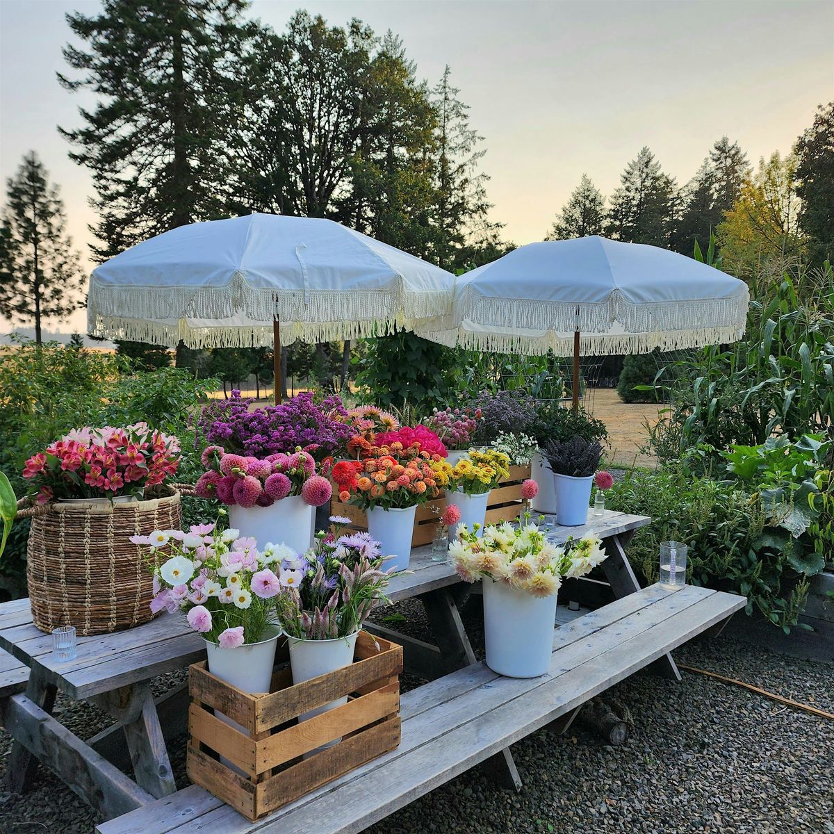 Floral Design Workshop at Swan Island Dahlias with Sunrise Hill Flowers