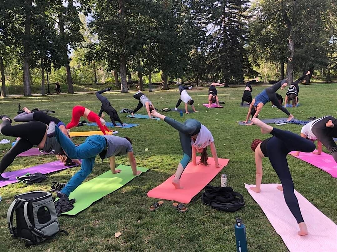 Outdoor Yoga In Prince's Island Park