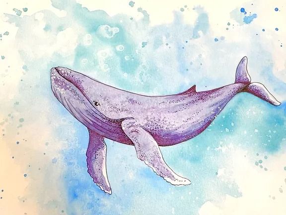 Watercolour whales