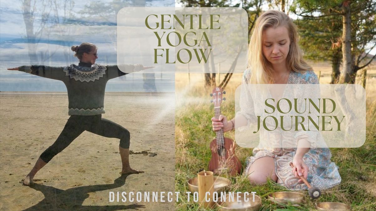 Gentle Yoga Flow & Sound Journey  I  Reykjavik