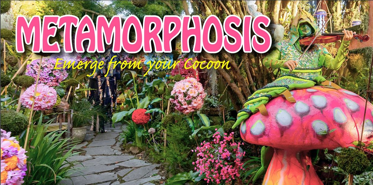 Metamorphosis: Emerge From Your Cocoon 6\/12