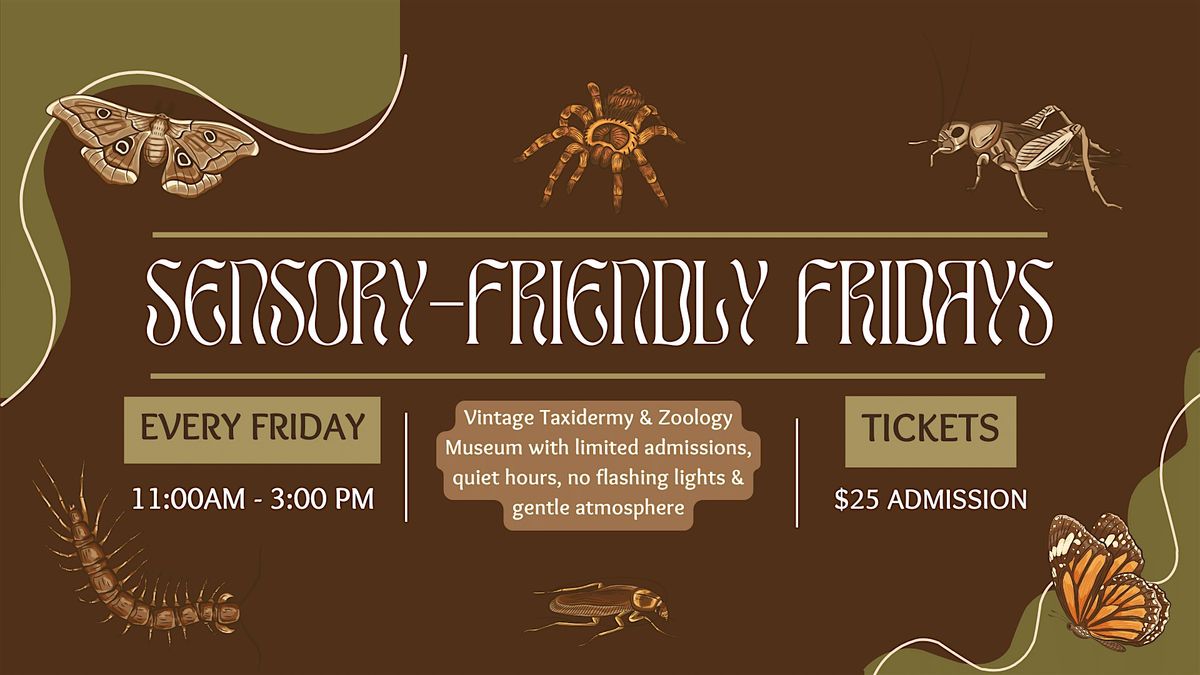 Sensory Friendly Friday